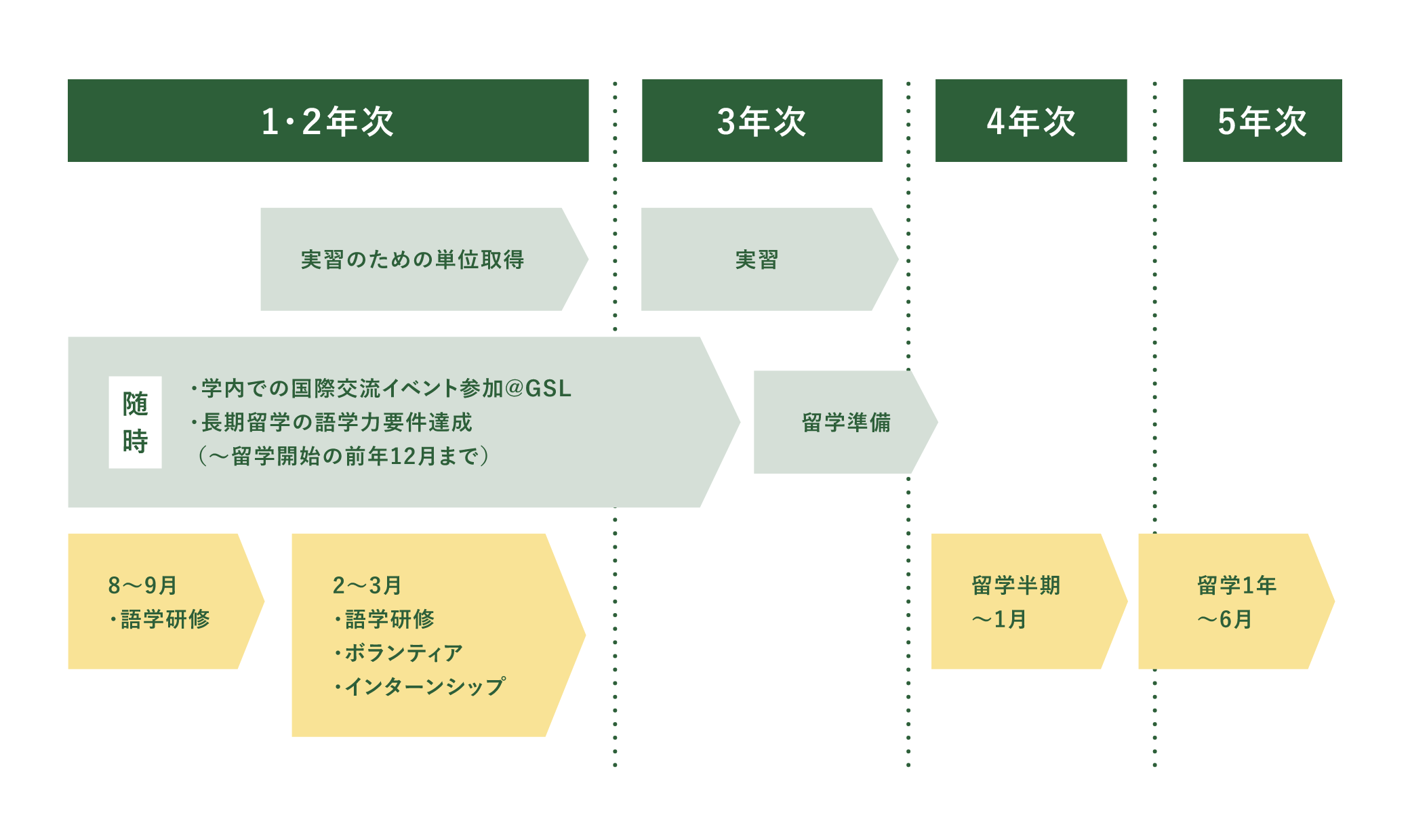 留学へのタイムライン