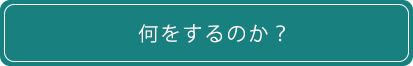 何をするのか？