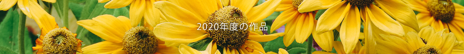 2020年度の作品