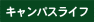 LpXCt