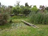 琉球大学 学校ビオトープ見本園