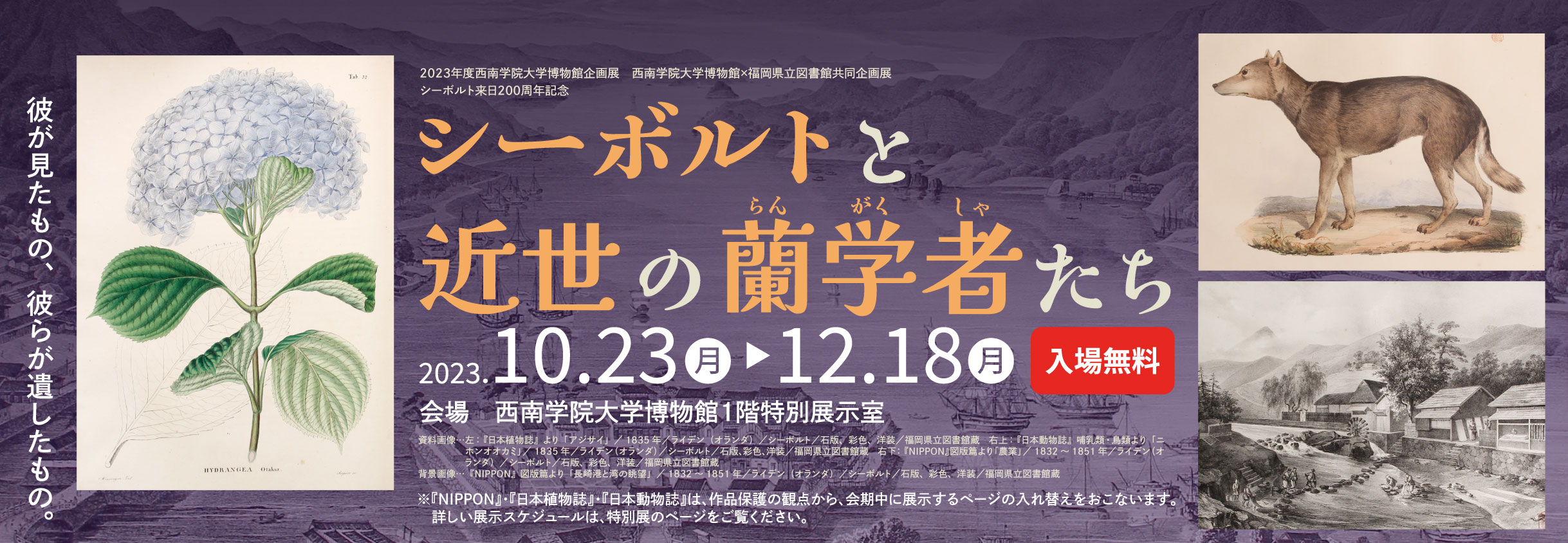 企画展