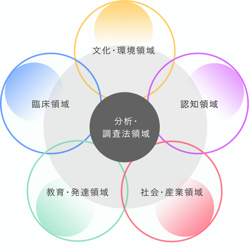 分析・調査法領域