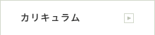 カリキュラム