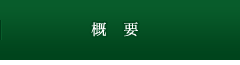 概要