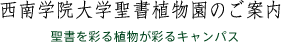 西南学院大学聖書植物園のご案内 -聖書を彩る植物が彩るキャンパス-
