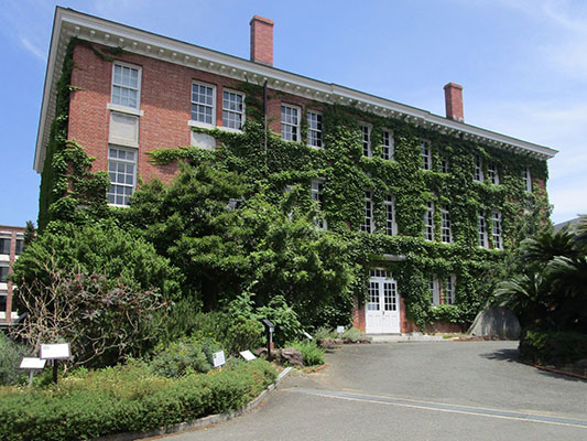 大学博物館