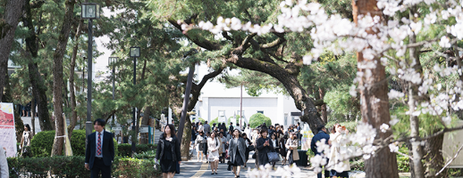 本年度卒業予定者