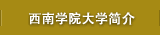 西南学院大学简介
