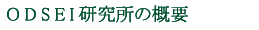 ODSEI研究所の概要
