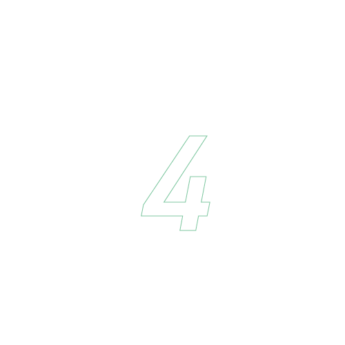 ZOOM IN 4