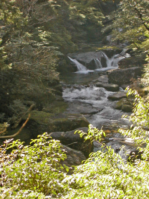 dscn2998_edited.jpg