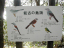 bird.sign